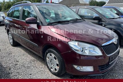 Skoda Fabia Gebrauchtwagen