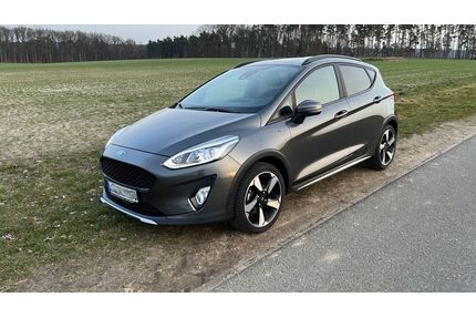 Ford Fiesta Gebrauchtwagen
