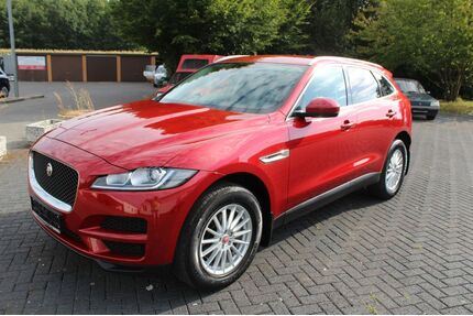 Jaguar F-Pace Gebrauchtwagen