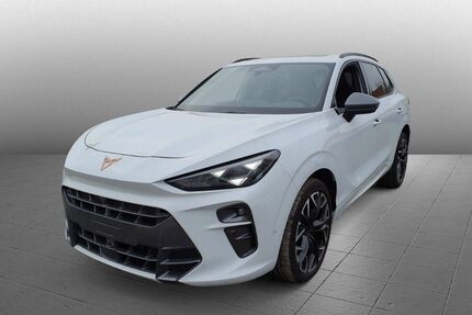 Cupra Terramar Gebrauchtwagen