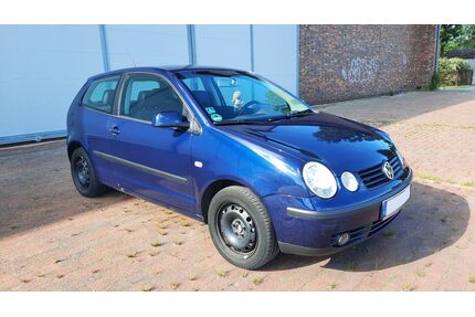 VW Polo Gebrauchtwagen