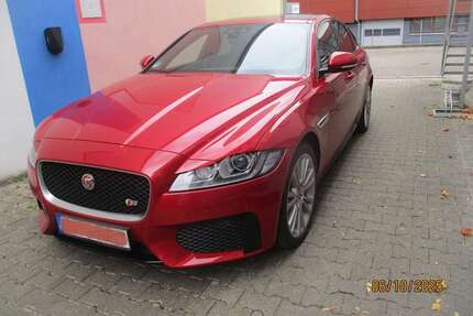 Jaguar XF Gebrauchtwagen
