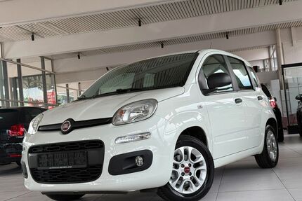Fiat Panda Gebrauchtwagen