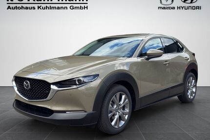 Mazda CX-30 Gebrauchtwagen