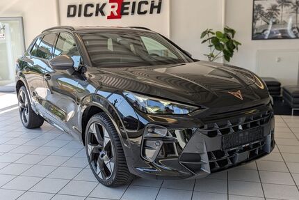 Cupra Terramar Gebrauchtwagen