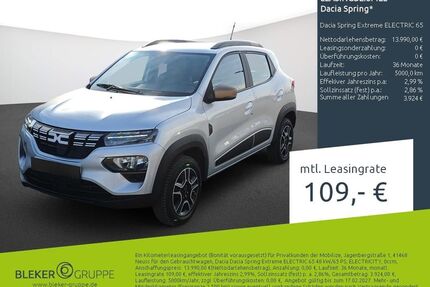 Dacia Spring Gebrauchtwagen
