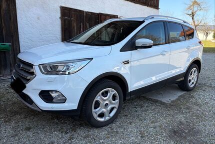 Ford Kuga Gebrauchtwagen
