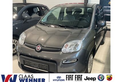 Fiat Panda Gebrauchtwagen