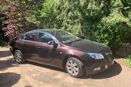 Opel Insignia Gebrauchtwagen