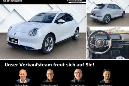 ORA Andere Gebrauchtwagen