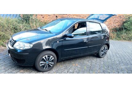 Fiat Punto Gebrauchtwagen