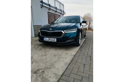 Skoda Octavia Gebrauchtwagen