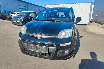 Fiat Panda Gebrauchtwagen