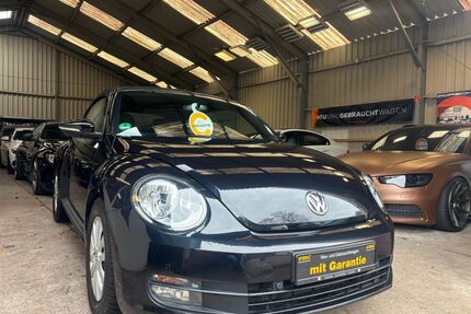 VW Beetle Gebrauchtwagen