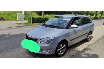 Skoda Fabia Gebrauchtwagen