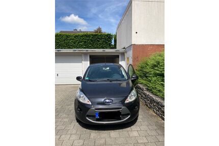 Ford Ka/Ka+ Gebrauchtwagen