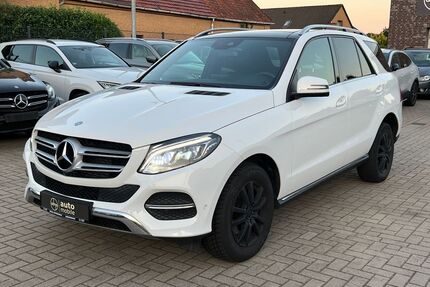 Mercedes-Benz GLE 250 Gebrauchtwagen
