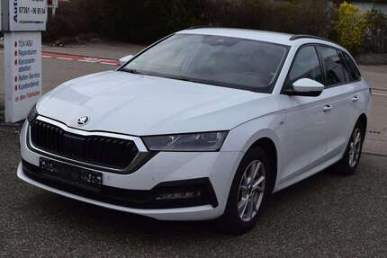 Skoda Octavia Gebrauchtwagen
