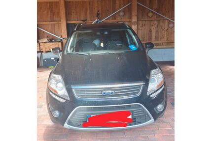 Ford Kuga Gebrauchtwagen