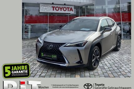 Lexus UX Gebrauchtwagen