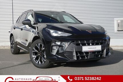 Cupra Terramar Gebrauchtwagen