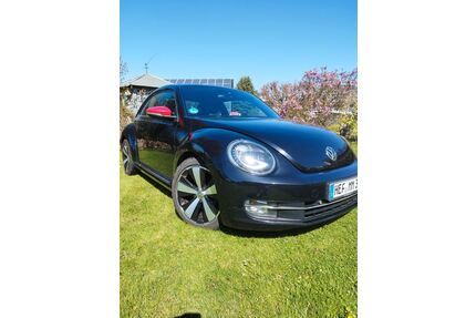VW Beetle Gebrauchtwagen