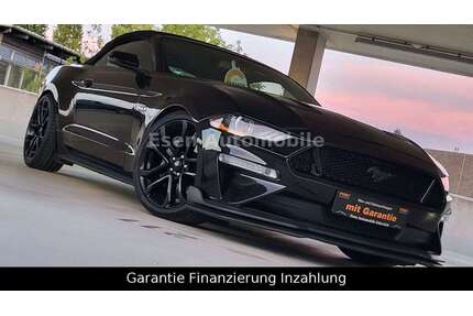 Ford Mustang Gebrauchtwagen
