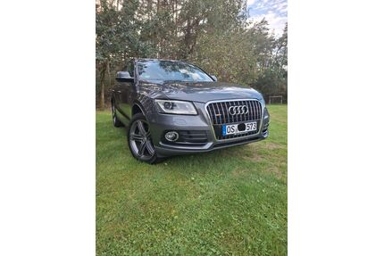 Audi Q5 Gebrauchtwagen