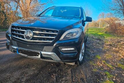 Mercedes-Benz ML 350 Gebrauchtwagen