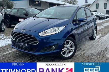 Ford Fiesta Gebrauchtwagen