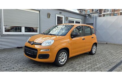 Fiat Panda Gebrauchtwagen