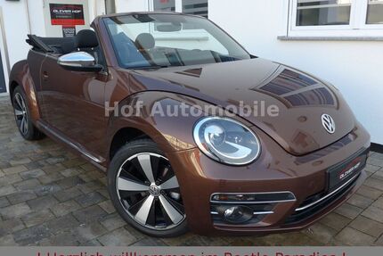 VW Beetle Gebrauchtwagen