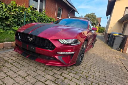 Ford Mustang Gebrauchtwagen