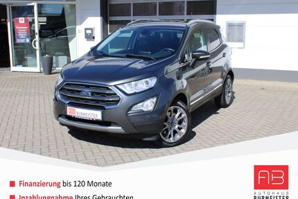 Ford EcoSport Gebrauchtwagen