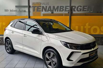 Opel Grandland X Gebrauchtwagen