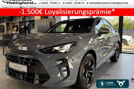 Cupra Terramar Gebrauchtwagen