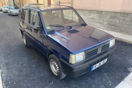 Fiat Panda Gebrauchtwagen