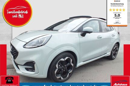 Ford Puma Gebrauchtwagen