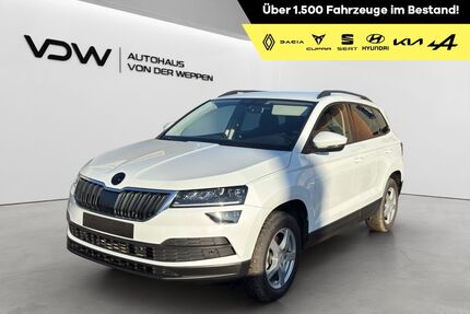 Skoda Karoq Gebrauchtwagen