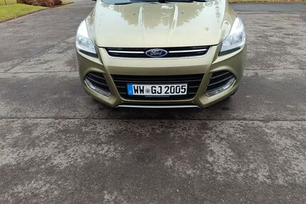 Ford Kuga Gebrauchtwagen