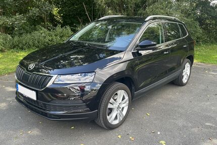 Skoda Karoq Gebrauchtwagen