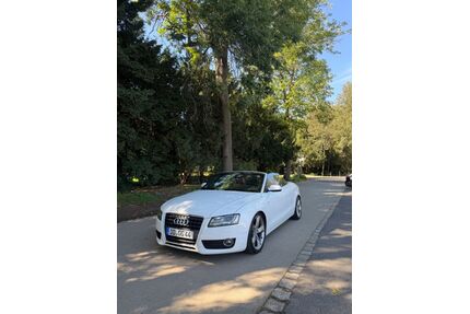 Audi A5 Gebrauchtwagen