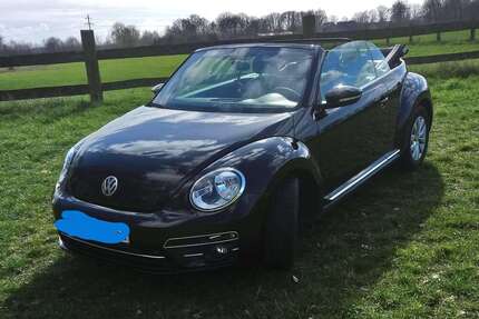 VW Beetle Gebrauchtwagen