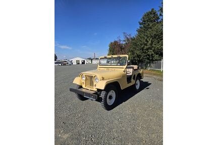 Jeep Willys Oldtimer