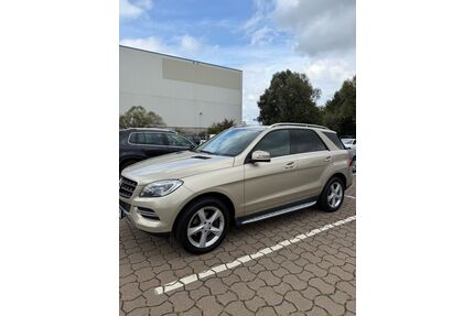 Mercedes-Benz ML 350 Gebrauchtwagen