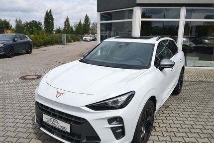 Cupra Terramar Gebrauchtwagen