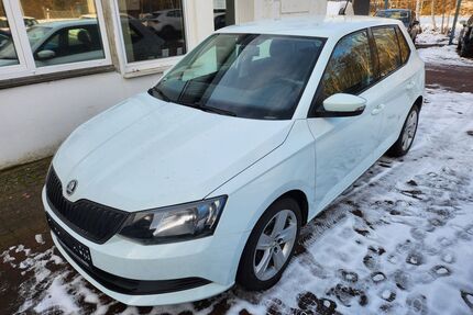 Skoda Fabia Gebrauchtwagen
