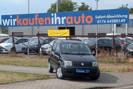 Fiat Panda Gebrauchtwagen