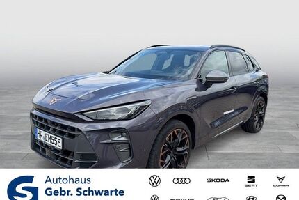 Cupra Terramar Gebrauchtwagen