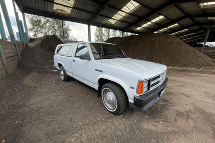 Dodge Dakota Gebrauchtwagen